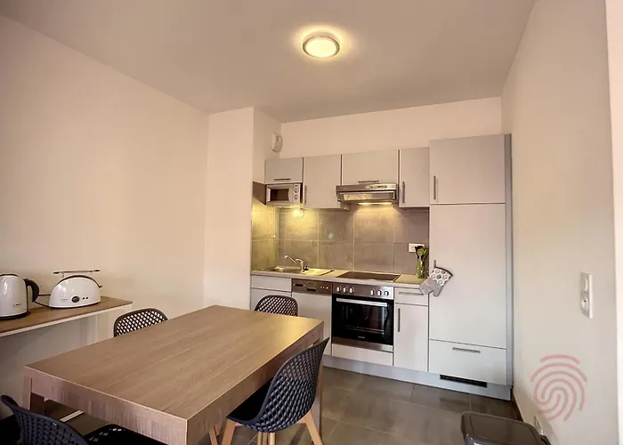 F2 Climatise Avec Parking, Wi-fi, Animaux Acceptes, Proche Centre Et Thermes - Fr-1-451-113 Lamalou-les-Bains